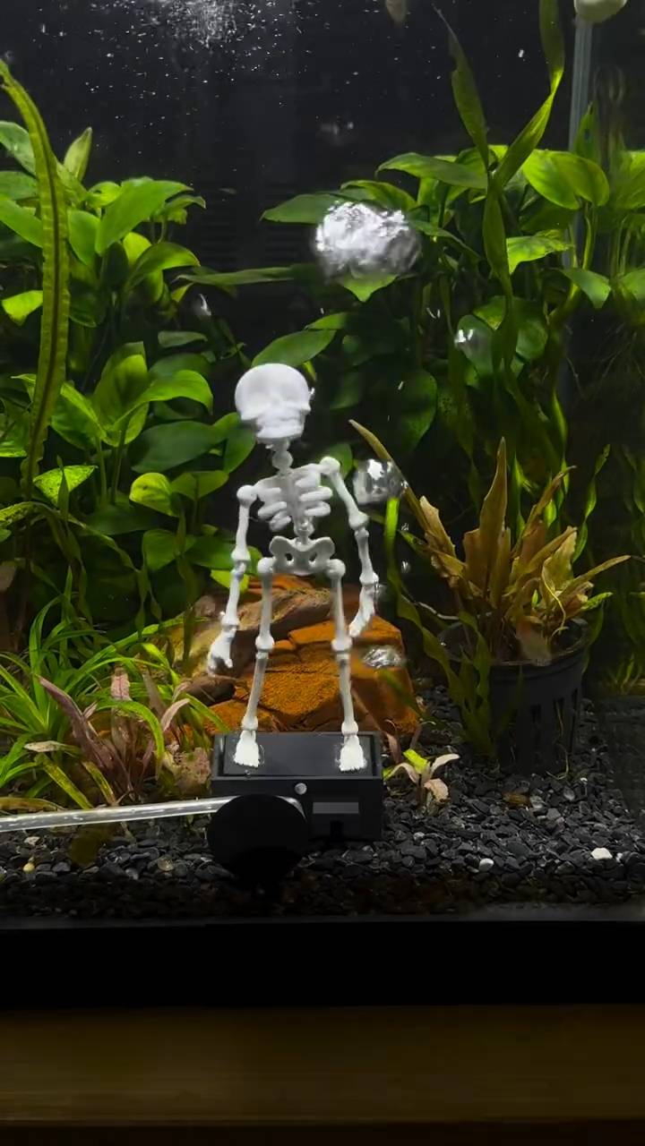 Poster for A dancing skeleton.