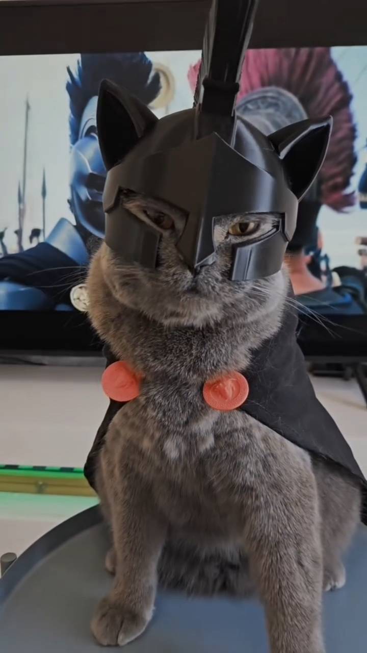 Poster for The kitten transforms into a Dark Warrior.